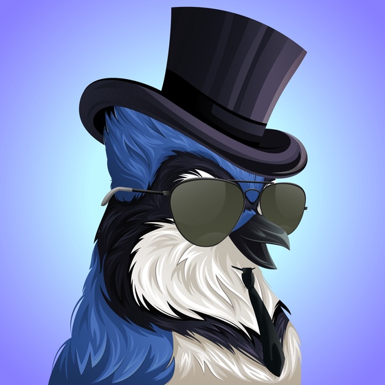 #406 Bluejay