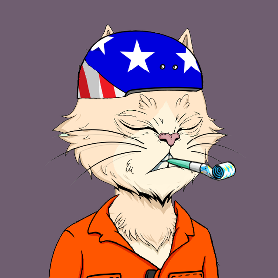 Angry Cat YC #611