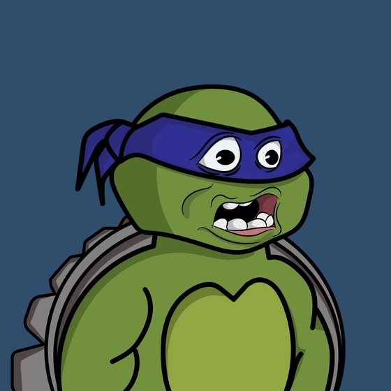 Degen Ninja Turtle #629