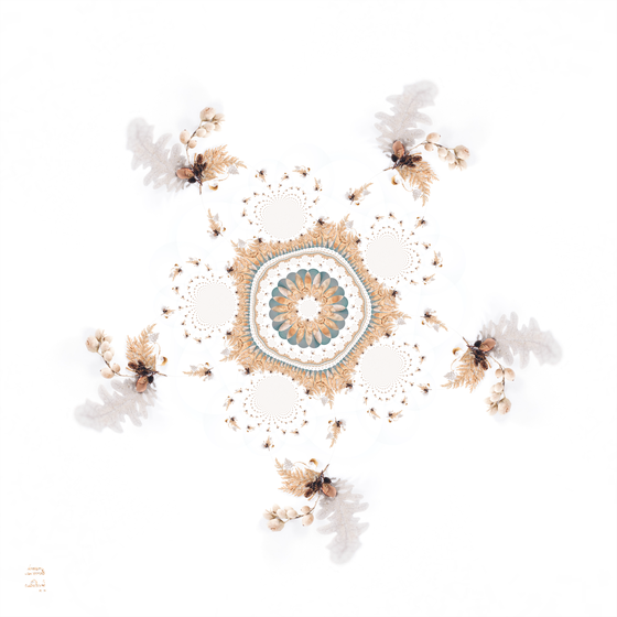 Wintry Mandala (2019)