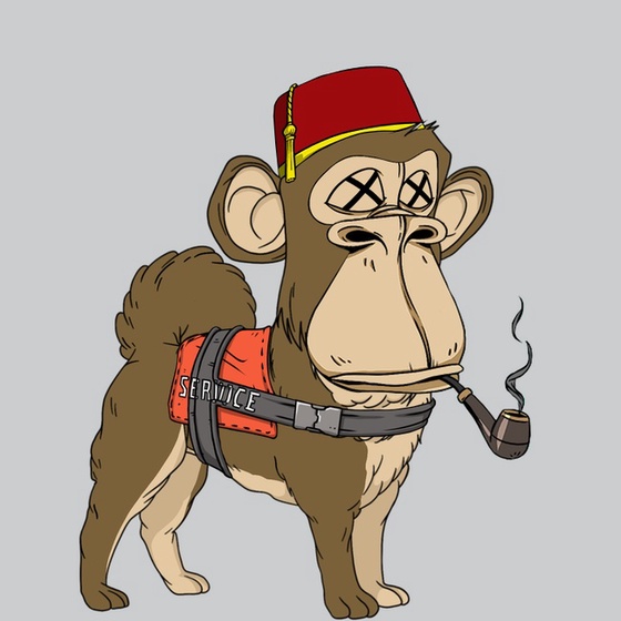Kennel Ape #8784