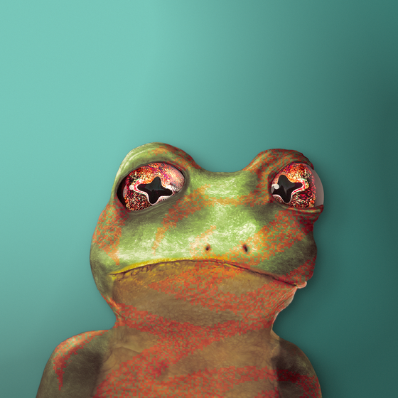 Notorious Frog #9985