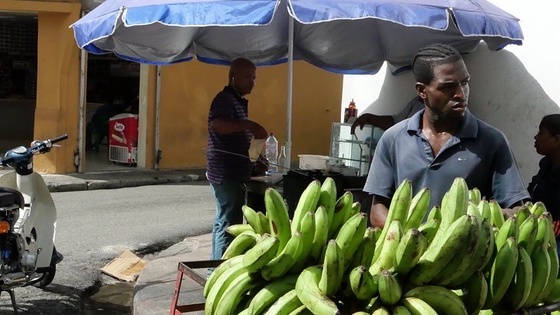 The banana merchant