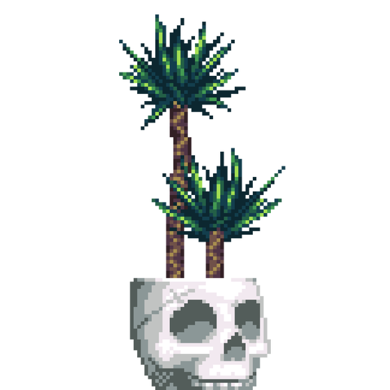 Yucca Palm in White Skull pot