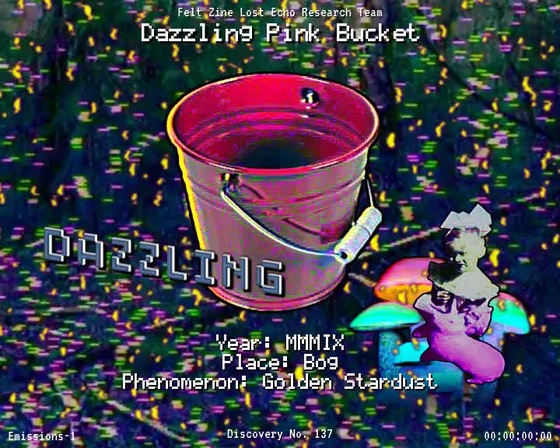 #137 | Dazzling Pink Bucket