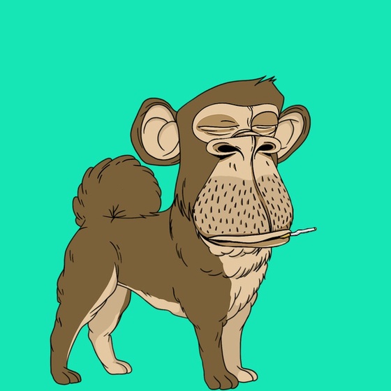Kennel Ape #6432