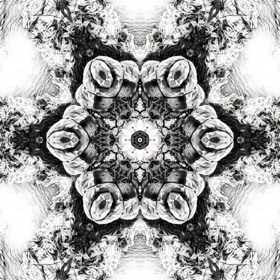 Kaleidoscope