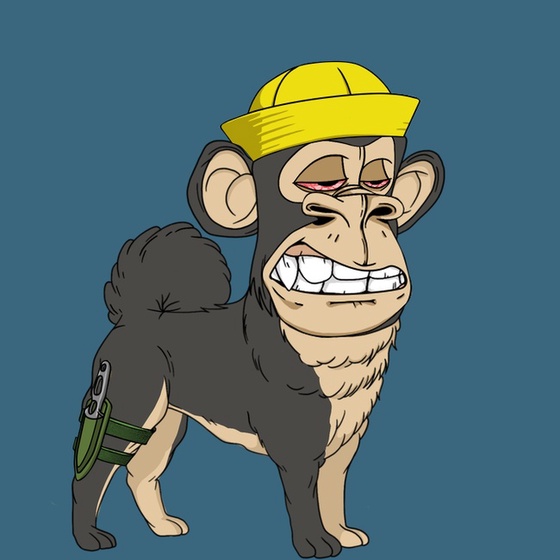 Kennel Ape #7854