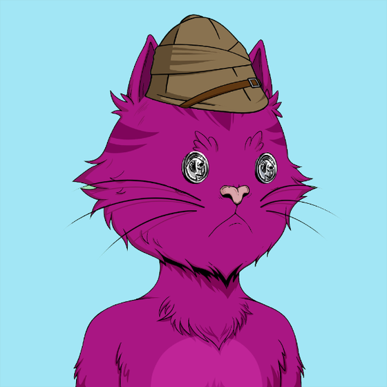 Angry Cat YC #2346