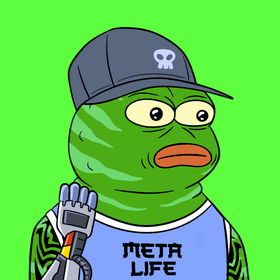 Meta Pepe #2333