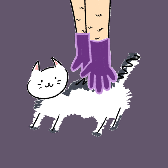 #4549 Hashimoto Cat