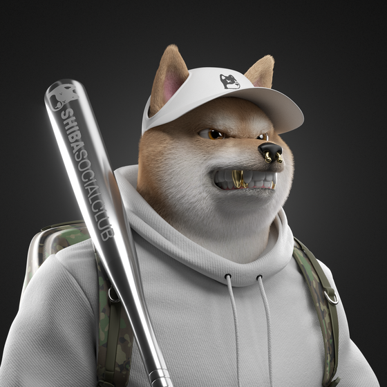 Shiba #29