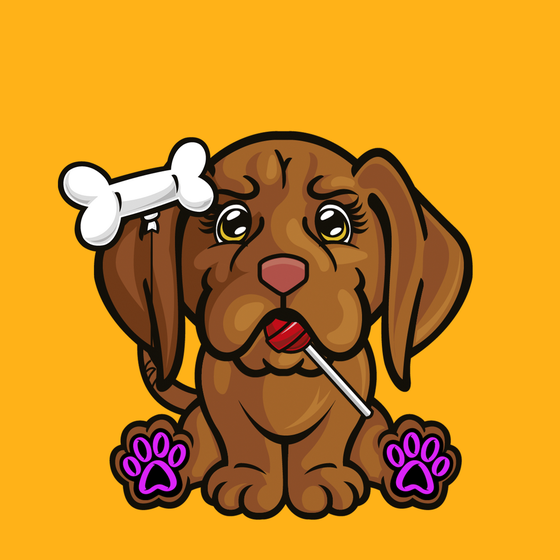 Vizsla 0809