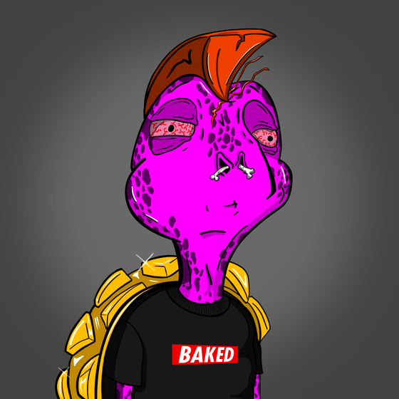 Baked Shellz #4826