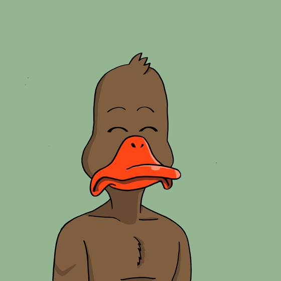 Duck #6069