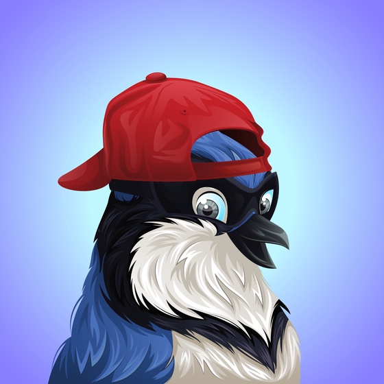 #287 Bluejay