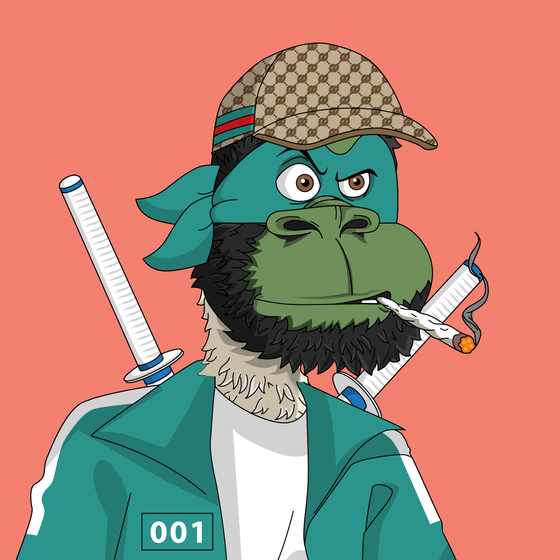 t00rtle #1671
