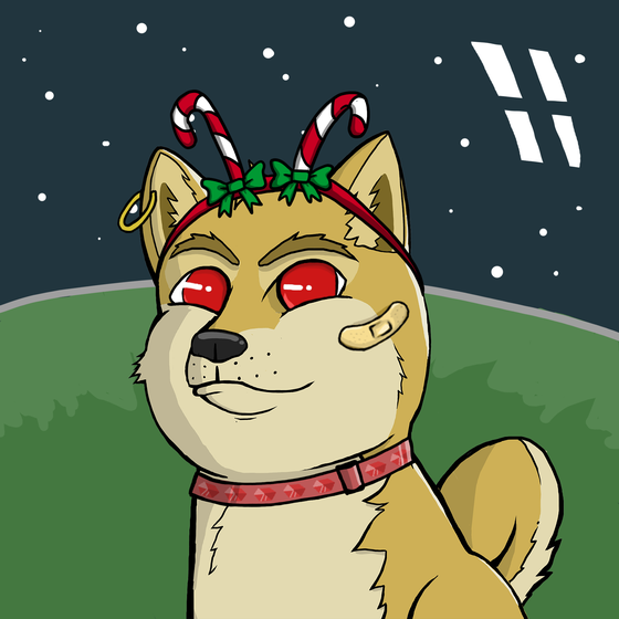 DogeXJR#2070