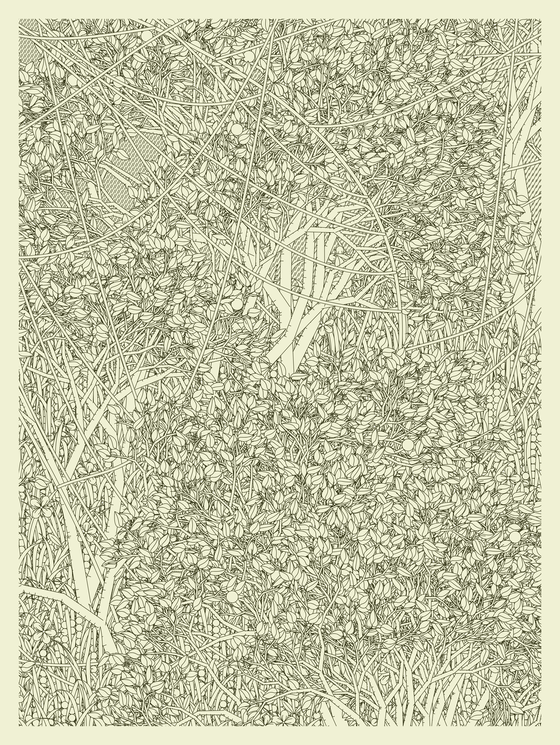 Entangled #190