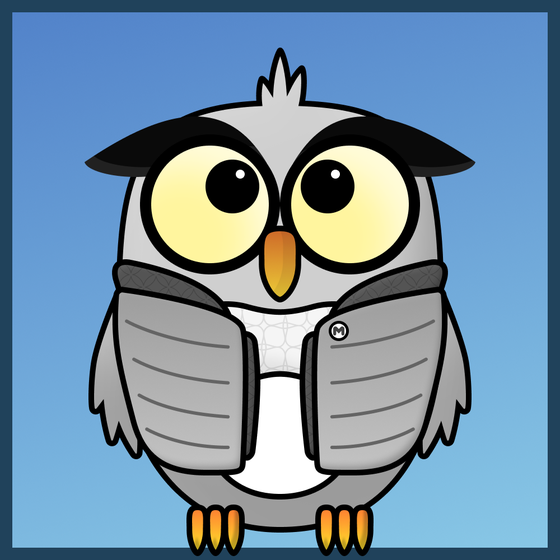 Metaversity Owl #355