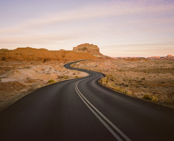 Veins of the desert