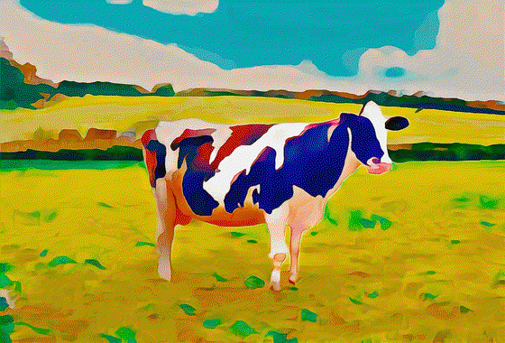 cow on a field