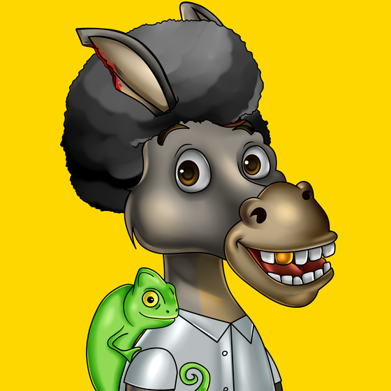 Sombrero Donkey #2946