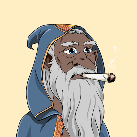 Wizard #9263