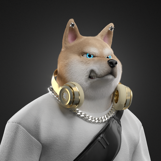 Shiba #6371