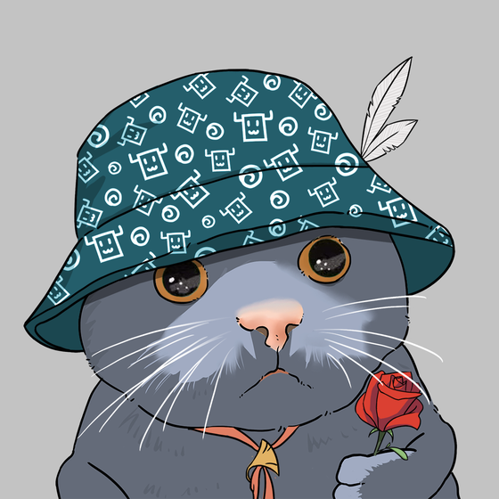 Puzzled cat #2414