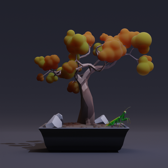 Bonsai #5525