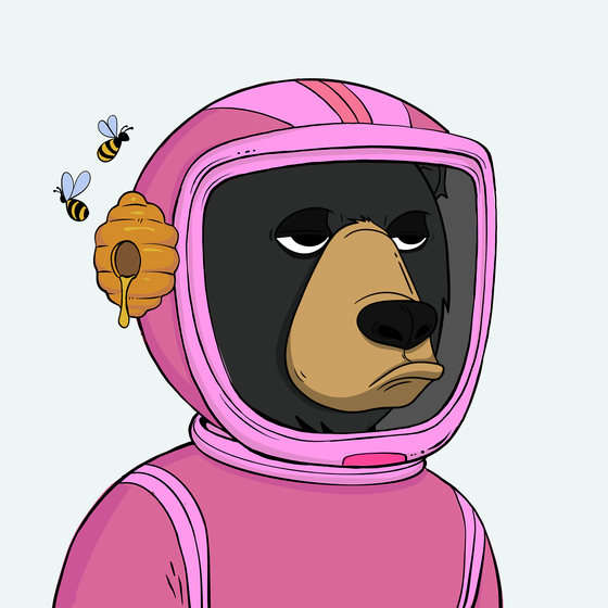 Okay Space Bear #773