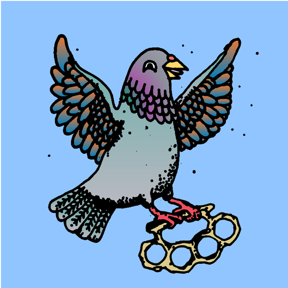 Hood Pigeon #1820