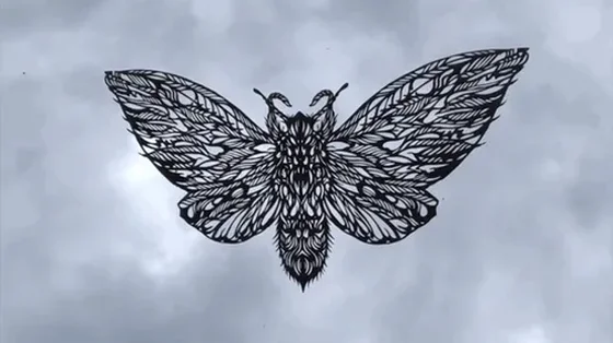 113a - MOR - "Storm Moth"