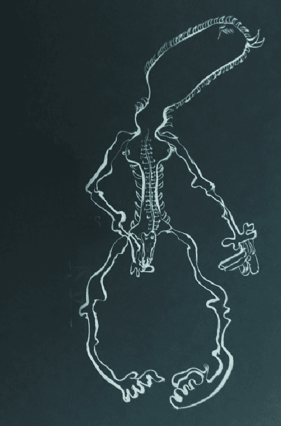 #drawing 15