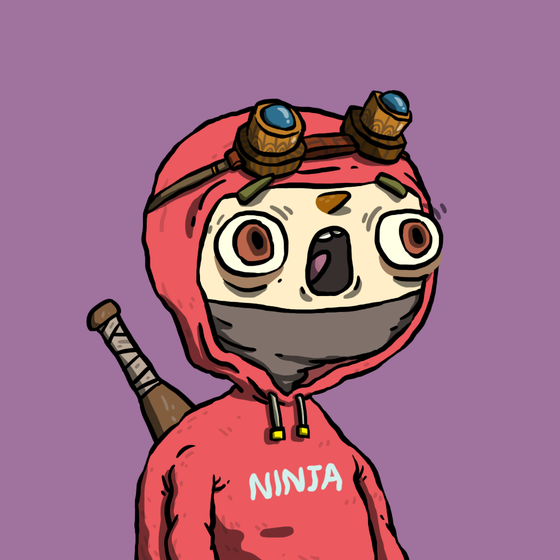 Ninja #4888