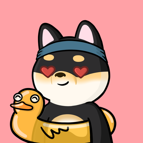 Shibe #2499