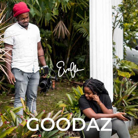 Goodaz (Lyric Video) by Evaflow - Artwork #11/50