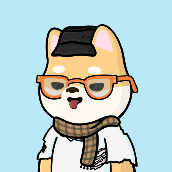 Shibe #709