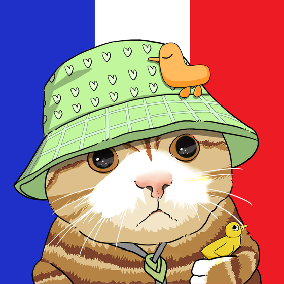 Puzzled cat #3947