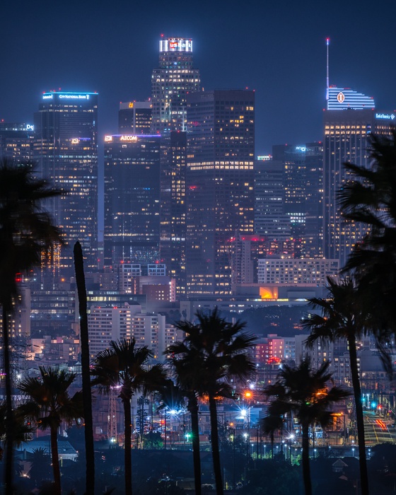 Cyberpunk LA