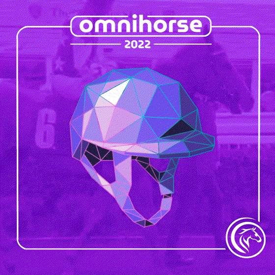 Omnihorse Helmet #10