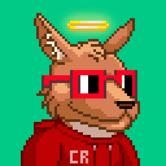 CyberRoo #91