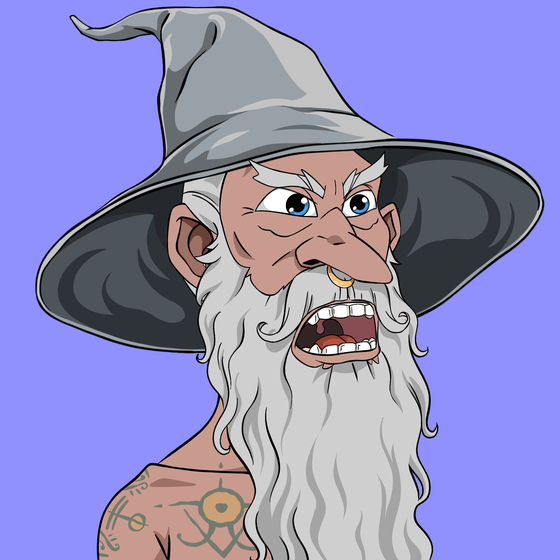 Wizard #6527
