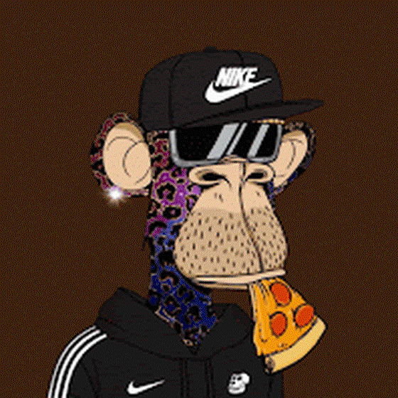 NIKE  APE #33