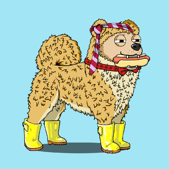 y00ts Canine Club #4467
