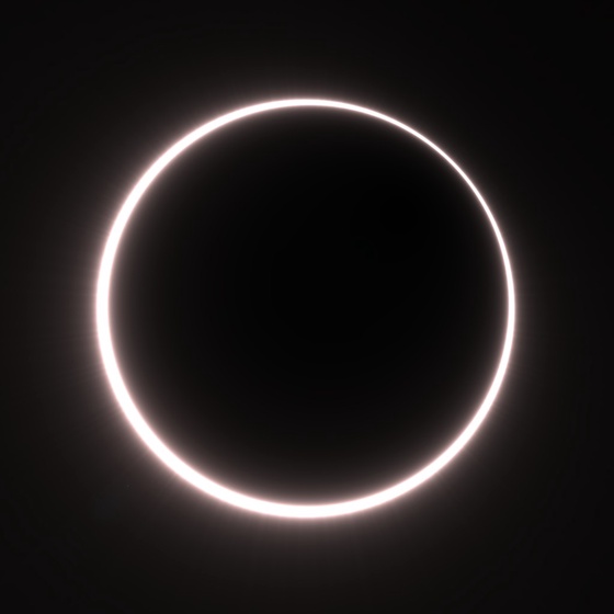 Totality #104