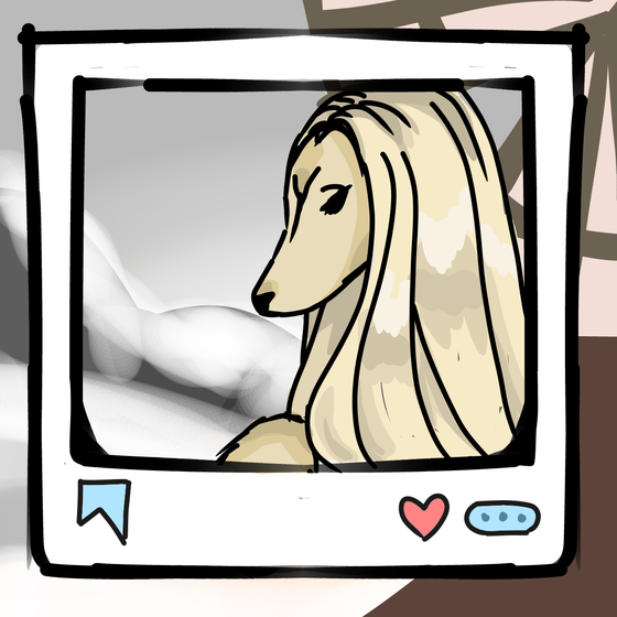 旅する犬 #695