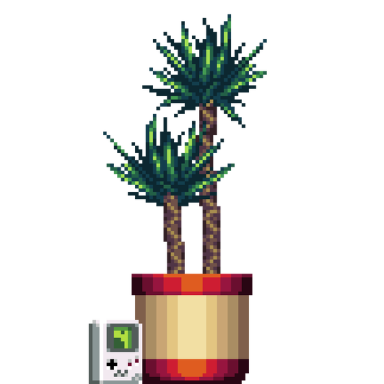 Yucca Palm in Large Dual Tone pot with Gameboy