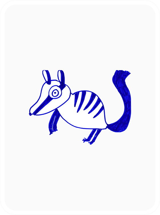 Noble Numbat